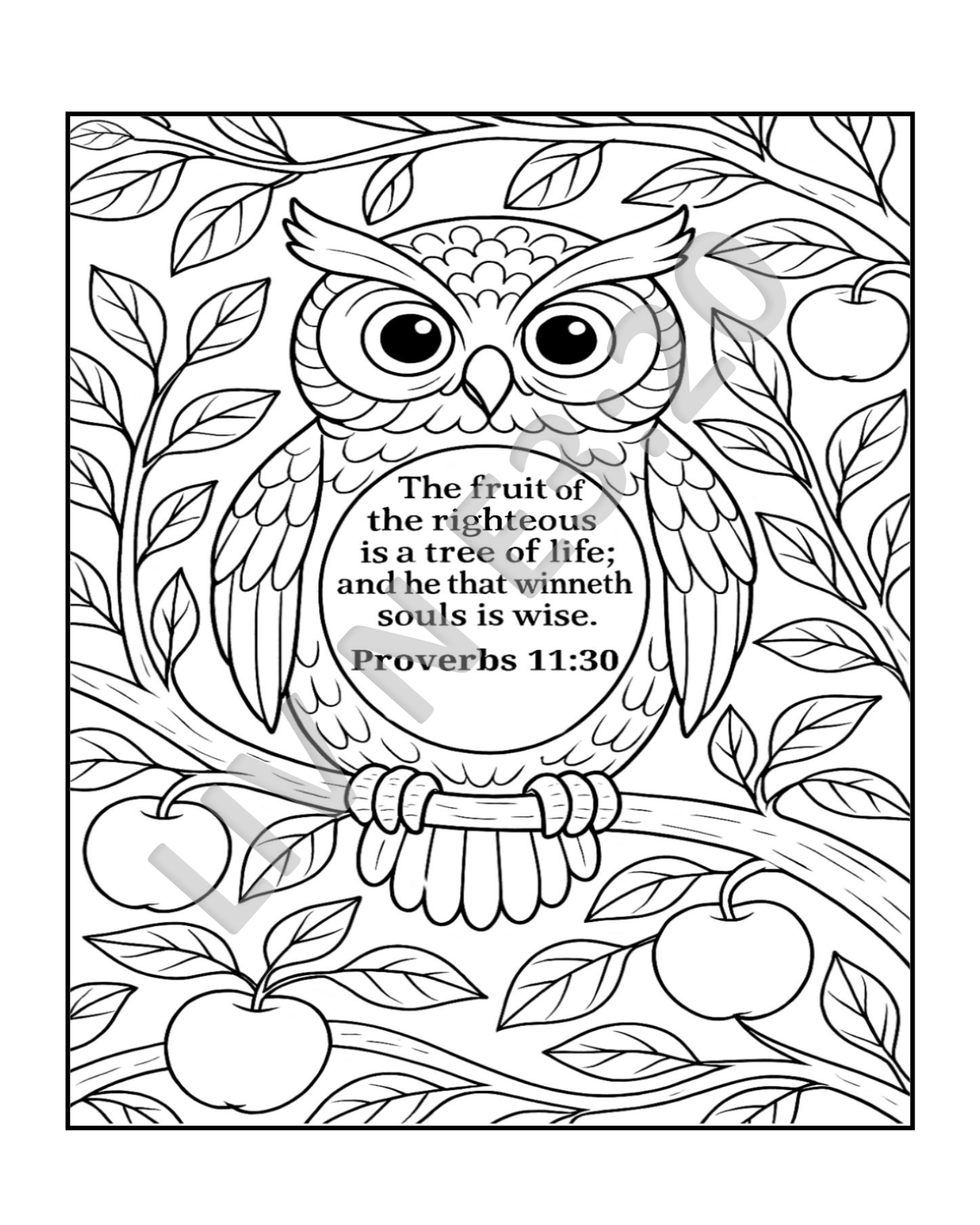 Hidden Treasures® Digital Curriculum Volume 3 / K-5 Grade